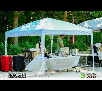 Multicultural Festival at Toronto Zoo